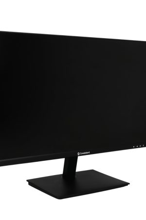 Consistent 22 Inch IPS Monitor