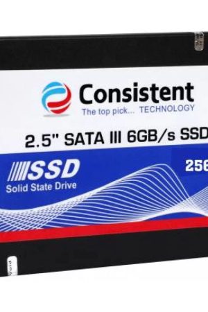 Consistent 256GB SATA SSD