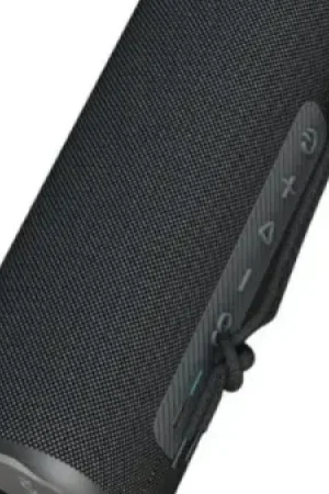 HiFuture Alpha Speaker